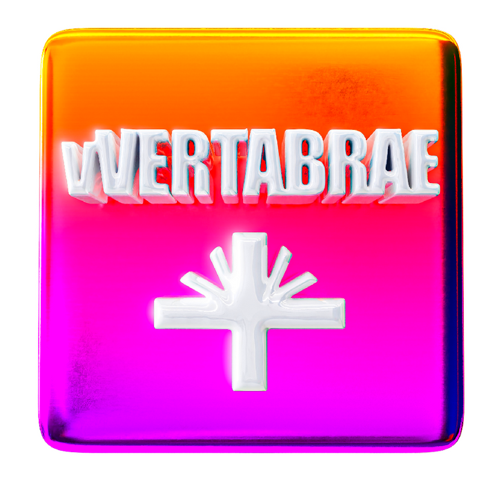 VERTABRAE'S DESIGNERS